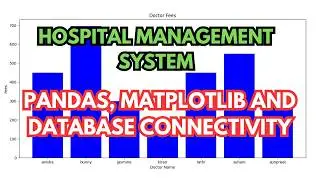 Hospital Management System Using Python Class 12th Project