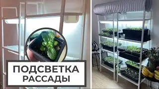 ПОДСВЕТКА РАССАДЫ своими руками 🌱💡 ЛАМПЫ для РАССАДЫ 💡🌱