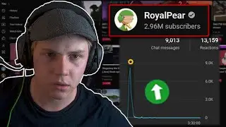 MY STREAM GOT RAIDED BY A MASSIVE YOUTUBER!!!