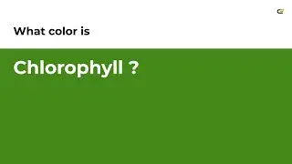 Chlorophyll color 