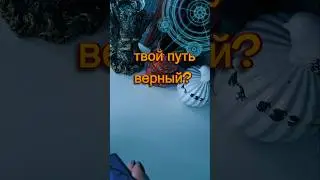 Твой путь верный #будущее #советрода #таролог #таро #гадание