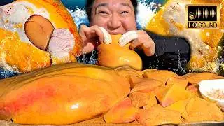노랑가오리 애 먹방 in 녹음실, 근데 이제 해설을 곁들인..