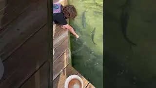 EAT ME!!!!! Wait for it