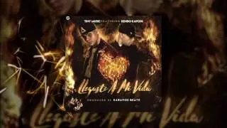 Tiny Music X Kendo Kaponi - Llegaste A Mi Vida (Audio)