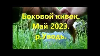 На боковой кивок. Май - 2023. р. Уводь
