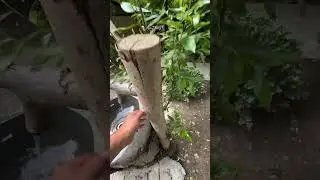 Какая Красота 😍 больше идей и видео профиля. подписывайтесь. и ставьте лайки
