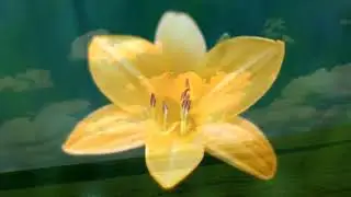 Я слышал время лечит