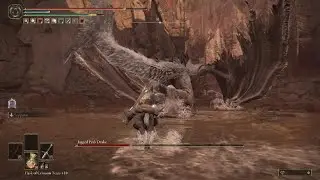 Elden Ring DLC - Jagged Peak Drake