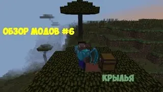 Обзор модов #6 Крылья