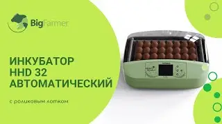 Инкубатор HHD 32 автоматический для яиц с роликовым лотком