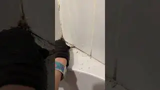 Great mold! 