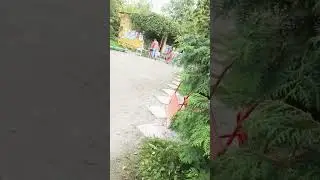 Анастасия #семья