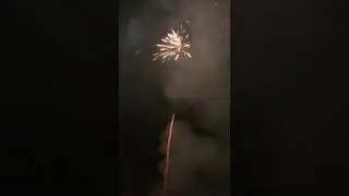 Neujahr 2020 Tobi 5/8