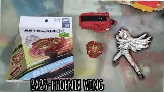 BX 23 凤凰飞翼 9-60 Gear Flat 开箱和实测 phoenix wing unboxing and review