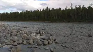 китой