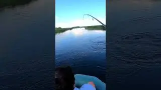 I saw him coming 😮