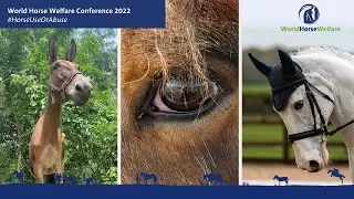 World Horse Welfare Conference 2022 - When does use become abuse?