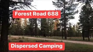 View of Forest Road 688 Dispersed Camping kaibab National Forest