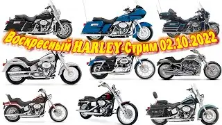 Воскресный Harley-Стрим 02.10.2022. Фоновая тема - Твой первый Harley-Davidson.Какой выбрать?