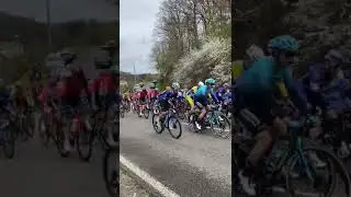 Peloton tackling Côte de la Roche-en-Andenne (2.8km, 6.2%)