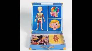 Juego magnético del cuerpo humano