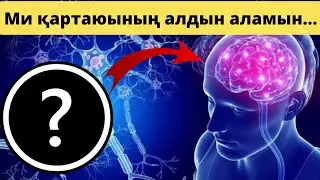 Осы әдістермен ми қартаюының алдын аламын... Ол үшін...