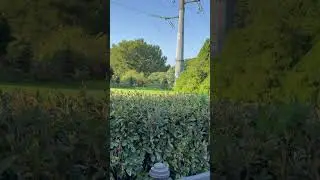 Вот и лето прошло