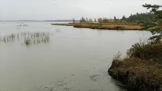 Покатушки в лес))) На Олымские озёра. 12.09.20г.