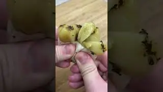 Чесночный багет с ХРУСТЯЩЕЙ КОРОЧКОЙ!