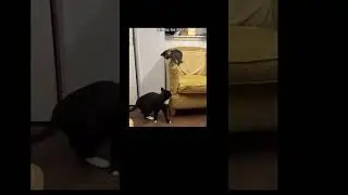 #notmine#memes