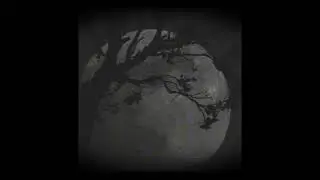 her - the american dawn (slowed)