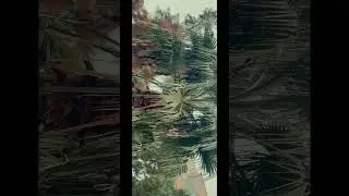 Одним зимним днем в Анталии
