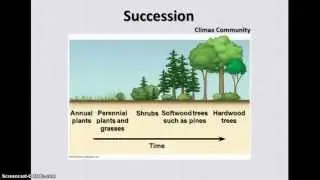 Ecology - Succession & Conservation