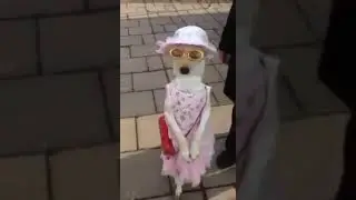 😂😂😂😂