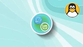 For The DESKTOP — elementary OS 8.1 VS Linux Mint 22.3