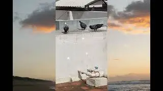 En Mana Vaanil......