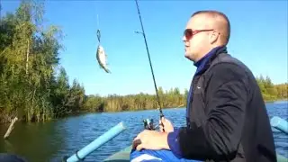 Perch fishing on the quarry | Fishing from a boat in the Yaroslavl region | Perch fishing on the ...