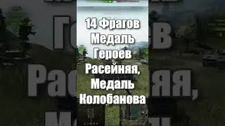 14 фрагов, Медаль Героев Расейняя, Медаль Колобанова    