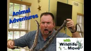 WE WON a TELLY AWARD in 2022 - JOIN the ADVENTURE!