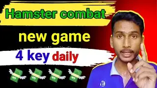 Hamster new game || collected 4key daily