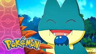 Berry, Berry Interesting | POKÉMON FULL EPISODE 25 | Season 8