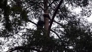 Geocaching-Jockan