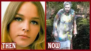 The Mamas & The Papas 💜 THEN & NOW 2025