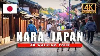 Nara, Japan Walking Tour 🇯🇵 Explore the Magical City of Deer & Ancient Temples | 4K HDR 60fps