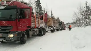 Ледовый путь. Викинг. Дальнобой