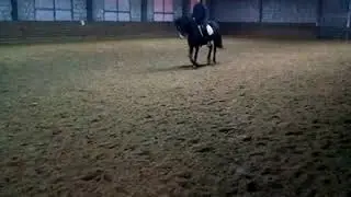 Калип принимание лево галоп