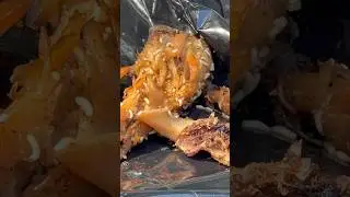 Nao sei porque o povo tem nojo deles se estao apenas comendo o que deixaram #larvas #nature