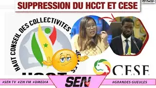 Surpression CESE et HCCT le 2 Septembre: le décryptage pointu de Fatou Abdou