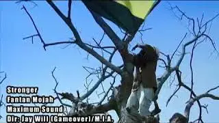 FANTAN MOJAH - STRONGER