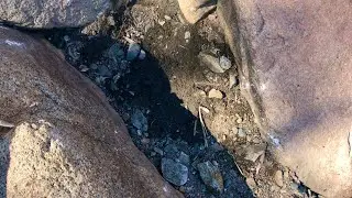 Crevicing for GOLD RICH clay & gravels!